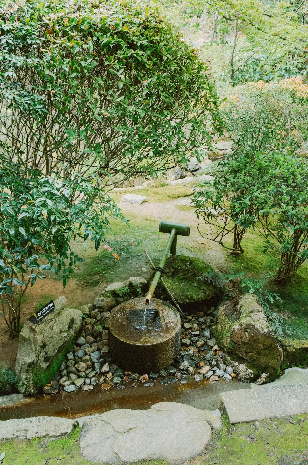 Phong Thủy Là Gì? Hiểu Đúng Bản Chất Và Ứng Dụng Trong Đời Sống Hiện Đại